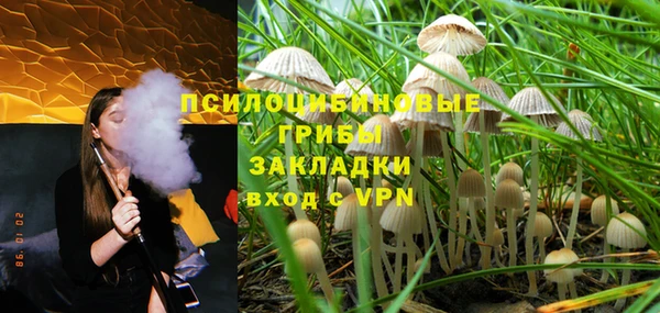 гидропоника Инсар