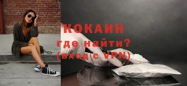 прущие грибы Каменка