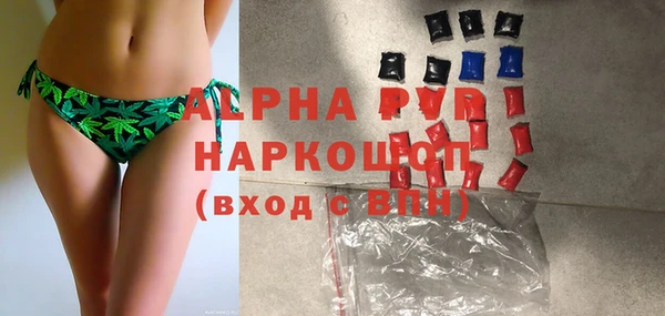 прущие грибы Каменка