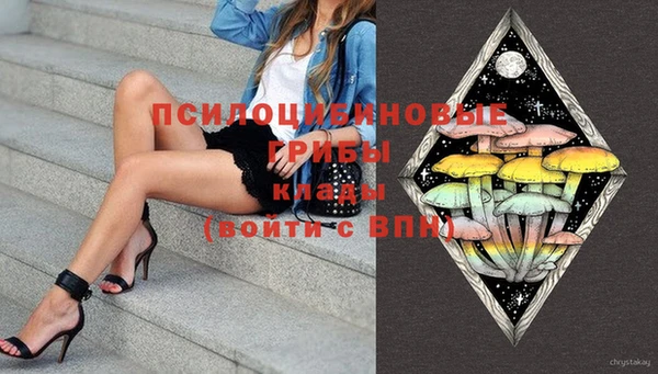 гидропоника Инсар