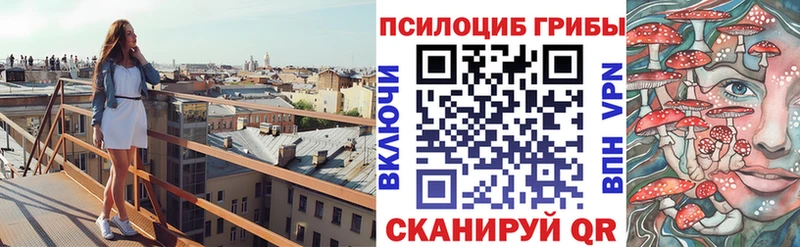 Купить закладки  Наволоки  Галлюциногенные грибы Psilocybe 
